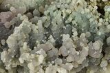 Purple and Green Botryoidal Grape Agate - Indonesia #370420-1